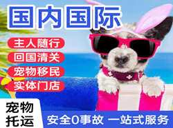 南宁航空货运国际宠物托运 【国